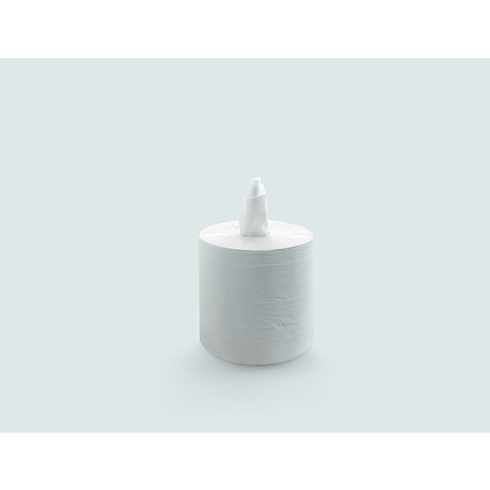 PAPIER MINI SPIRALE DEVIDOIRE CENTRAL CARTON DE 1X