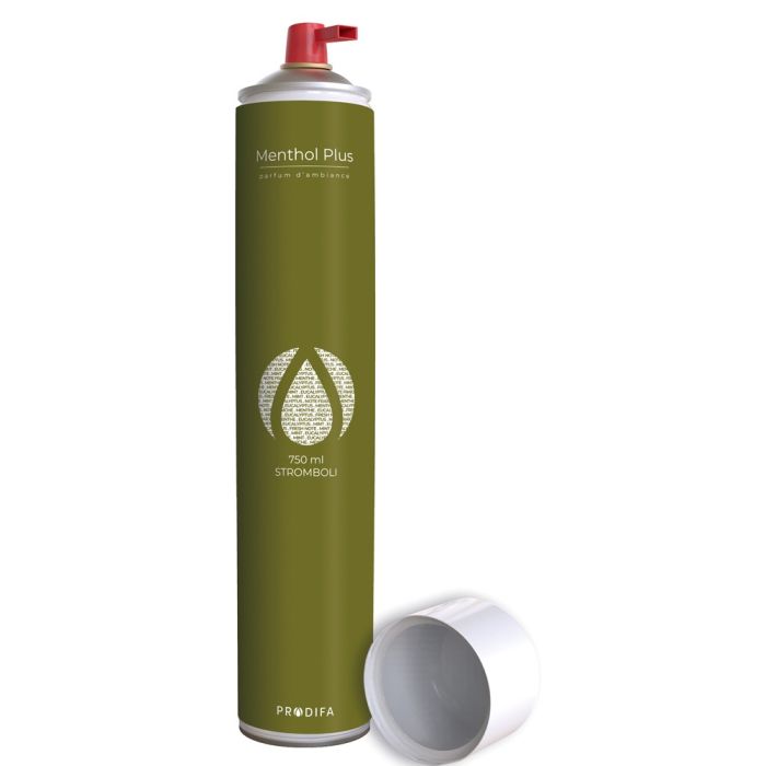 AEROSOL SURPUISSANT MENTHOL 750 ML